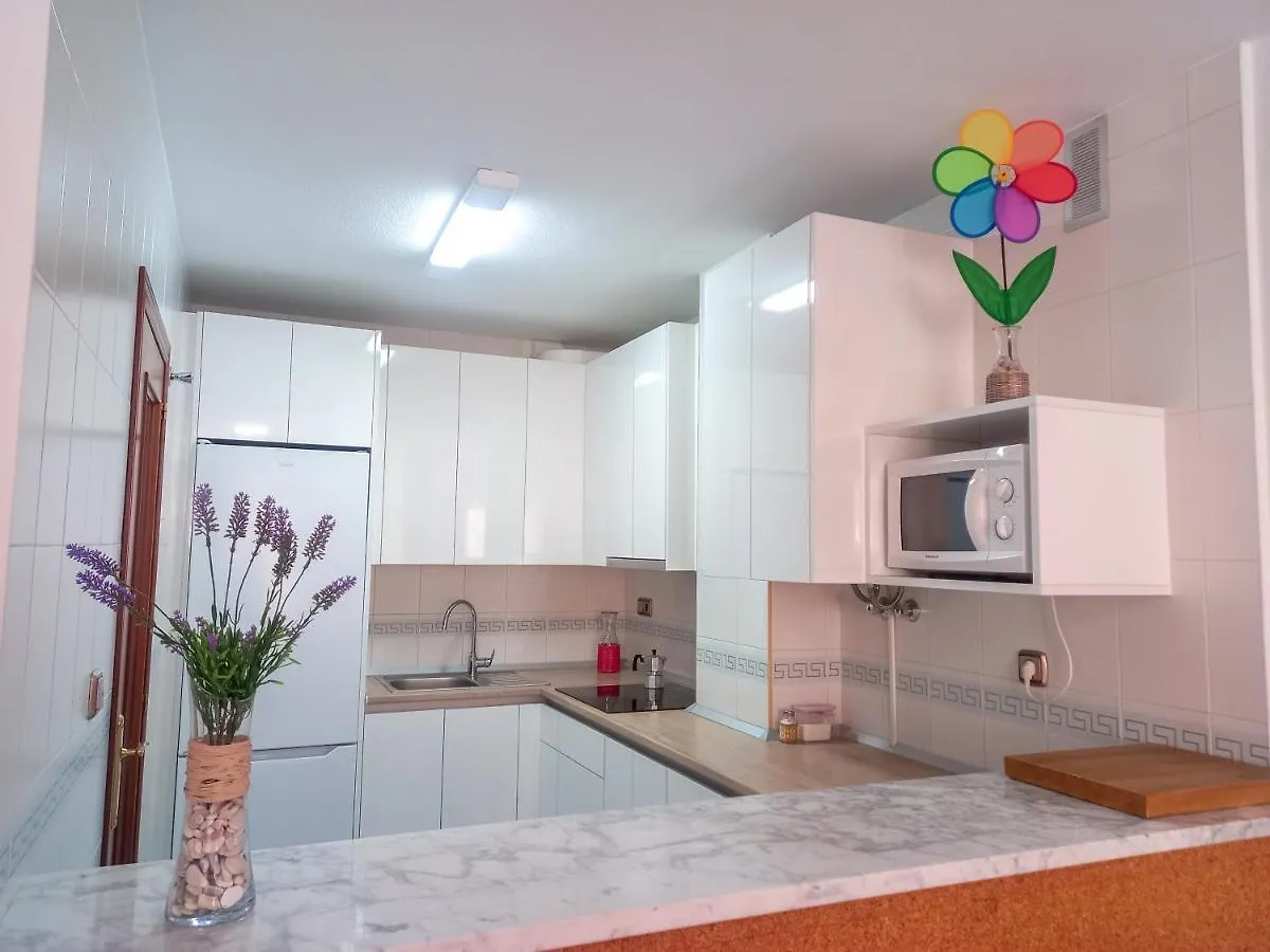 Apartmán Apartamento Hibisco , Primera Linea De Playa Almuñécar Španělsko