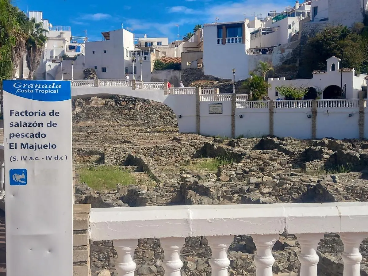 Apartmán Apartamento Hibisco , Primera Linea De Playa Almuñécar Španělsko