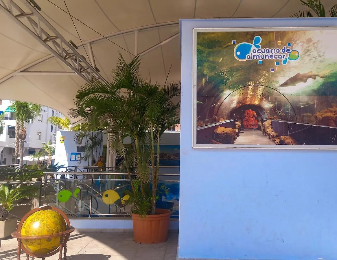 Apartamento Hibisco , Primera Linea De Playa Almuñécar Španělsko