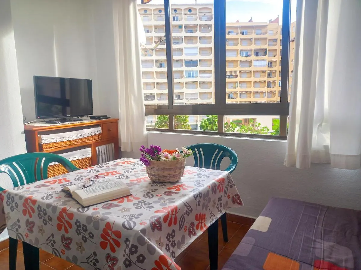 Apartamento Hibisco , Primera Linea De Playa Almunecar 0*,  Spain